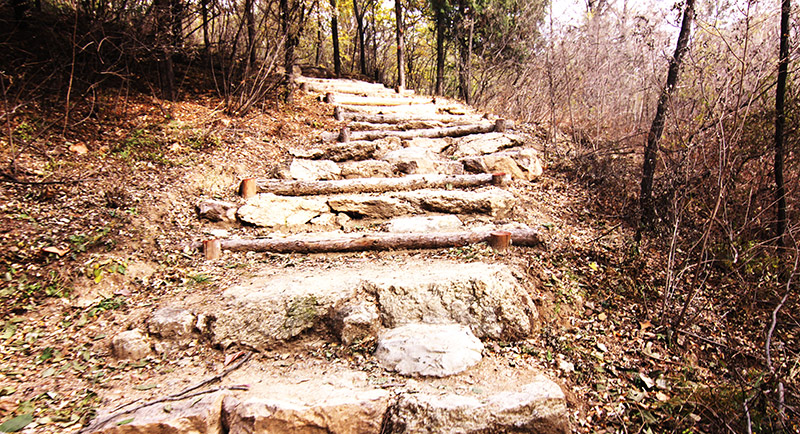 以愛(ài)之名，貼地疾行
